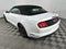 2023 Ford Mustang EcoBoost